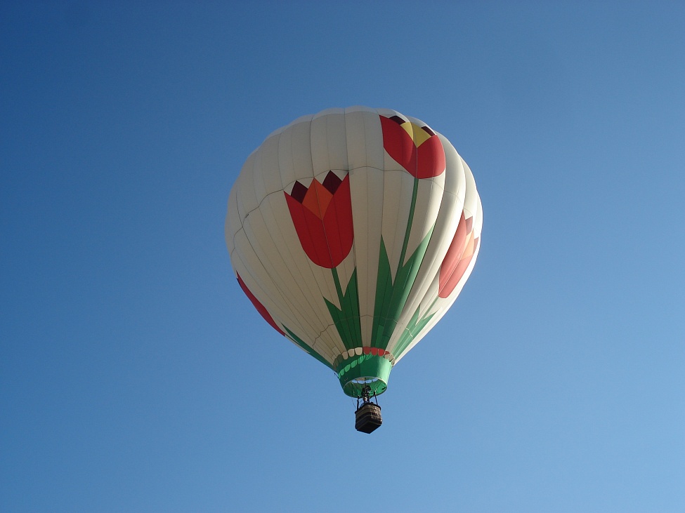 Индивидуальный полет на воздушном шаре "Тюльпан"