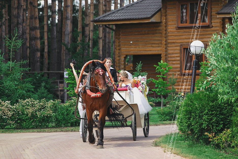 Загородный клуб «АлександрЪ» - 2