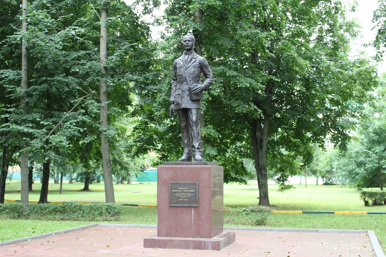Памятник Н. И. Вавилову - 5