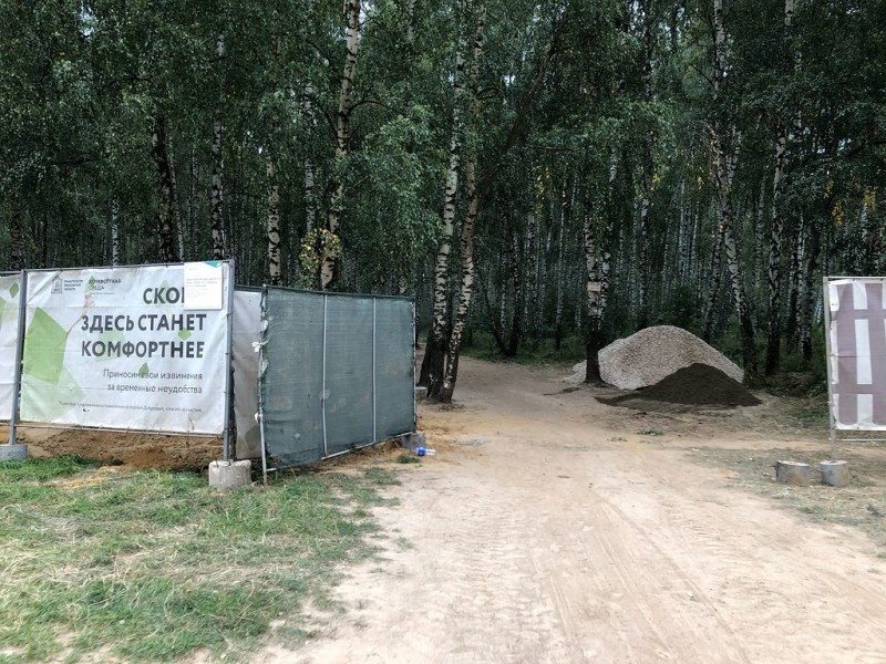 Ушмарский лес - 4