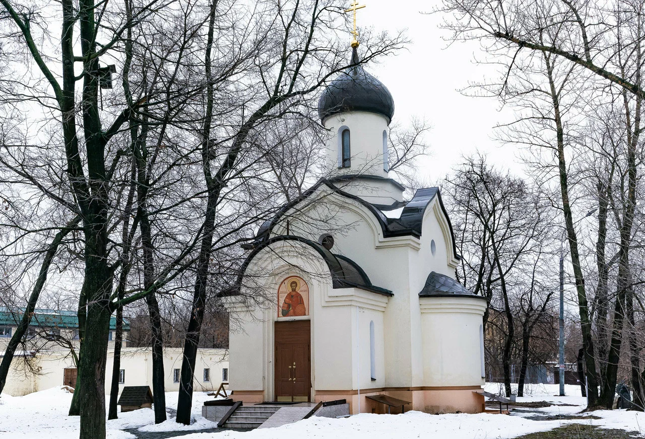 Храм Димитрия Донского близ Спасо-Андроникова монастыря - 5