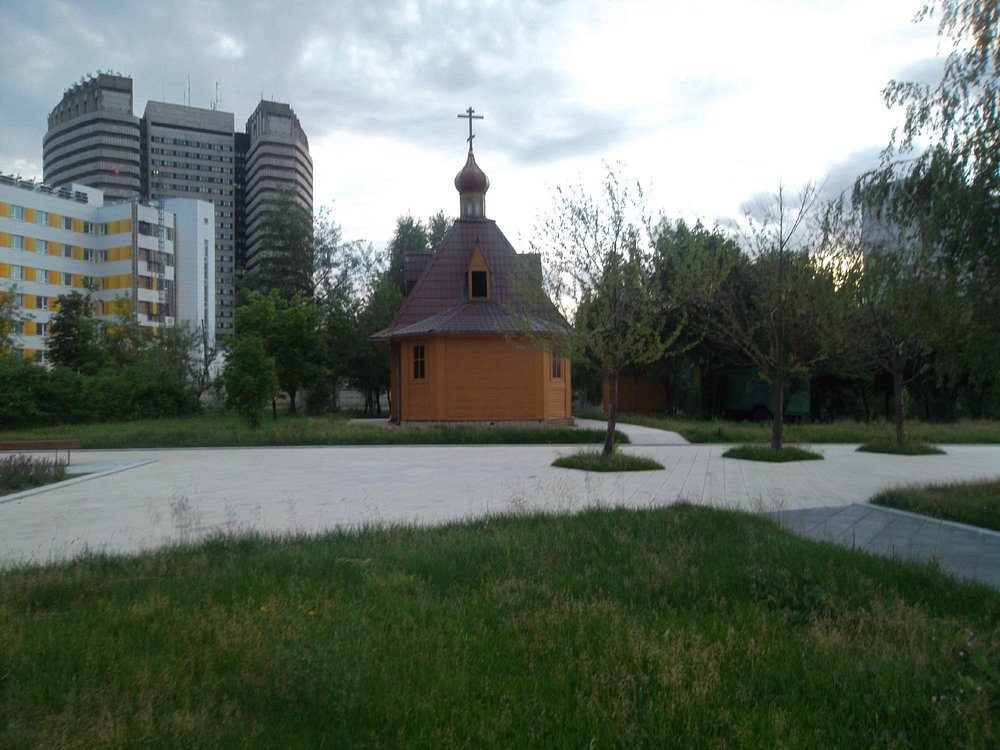 Храм Дмитрия Донского в Садовниках - 1