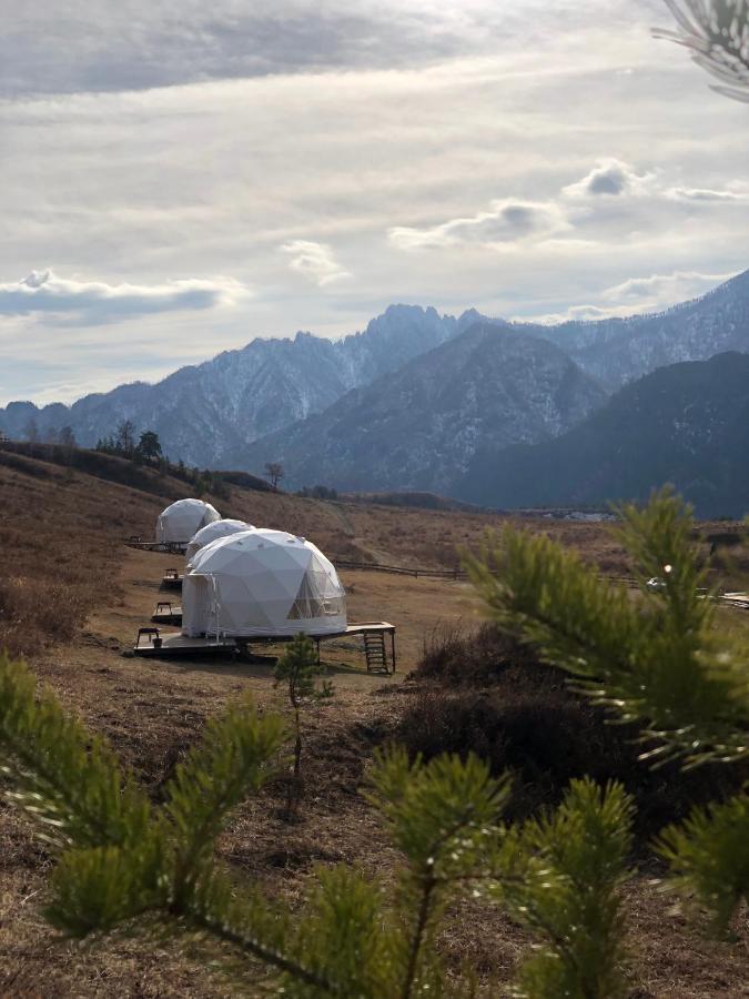 Купольный отель Cloud Park Altay - 5