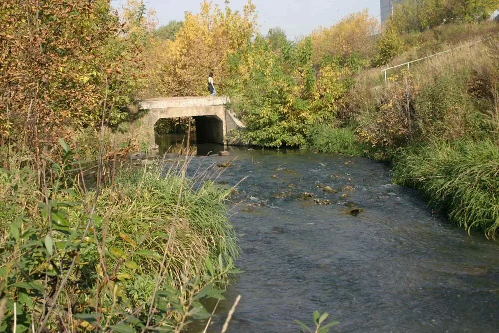 Пойма реки Чермянки - 1