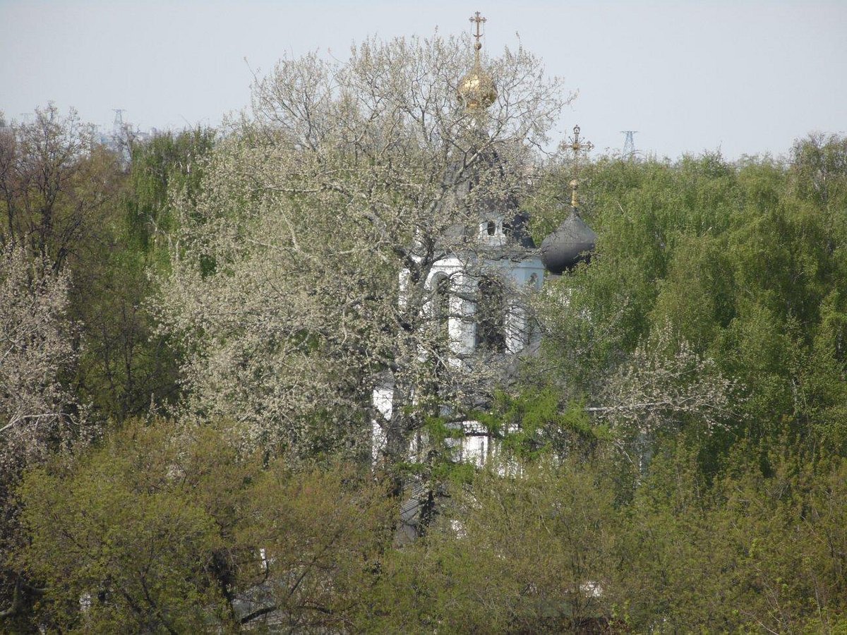 Храм Ризоположения Пресвятой Богородицы в Леоново - 3