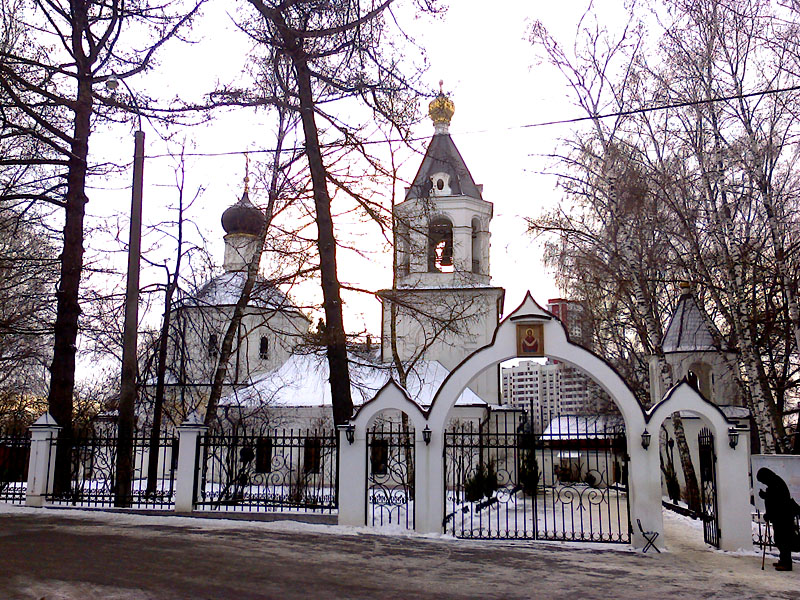 Храм Ризоположения Пресвятой Богородицы в Леоново - 4