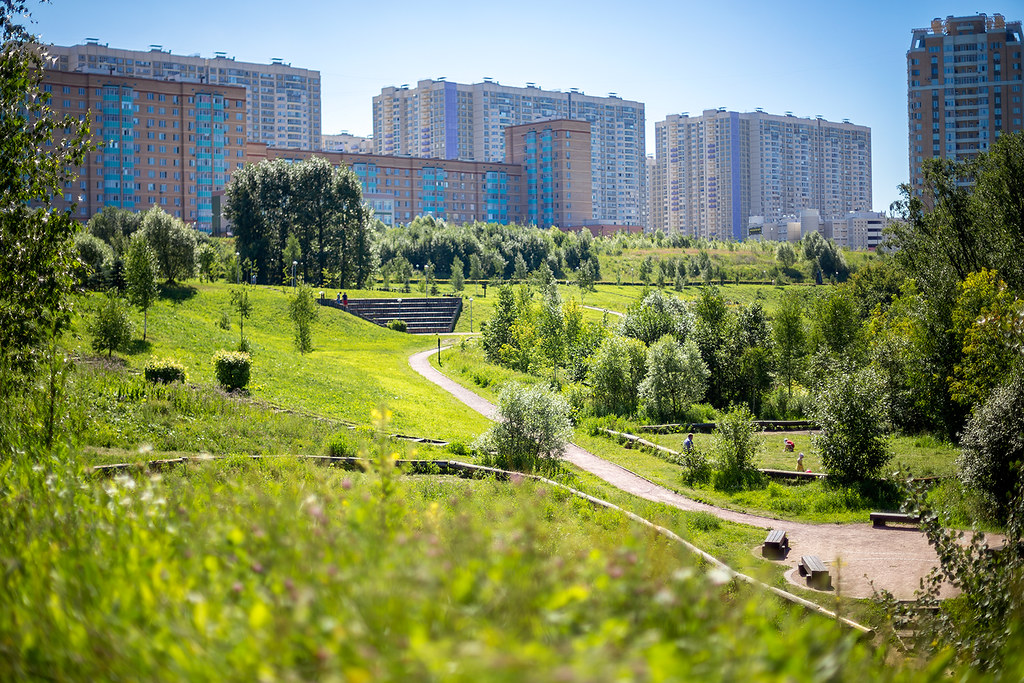 Природный парк «Куркино» - 2