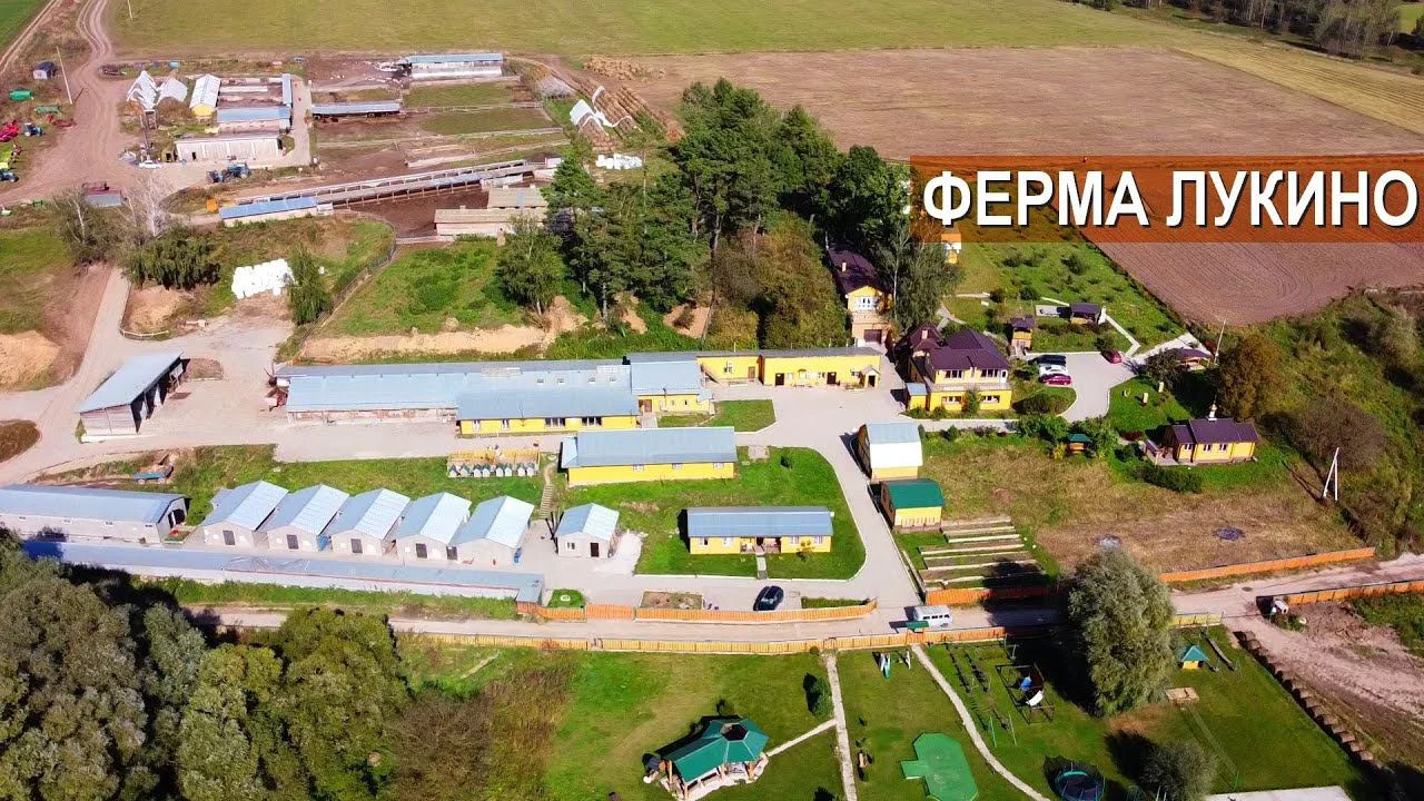 Ферма «Лукино» - 3