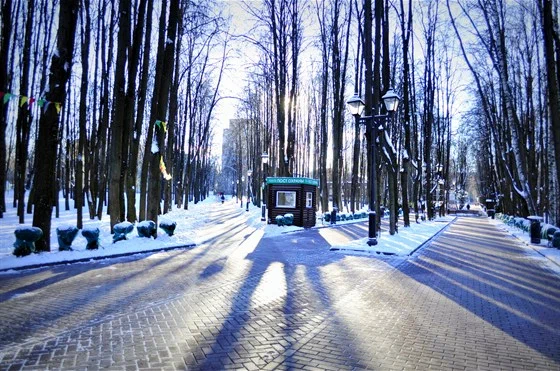 Городской парк культуры и отдыха «Бабушкинский» - 4