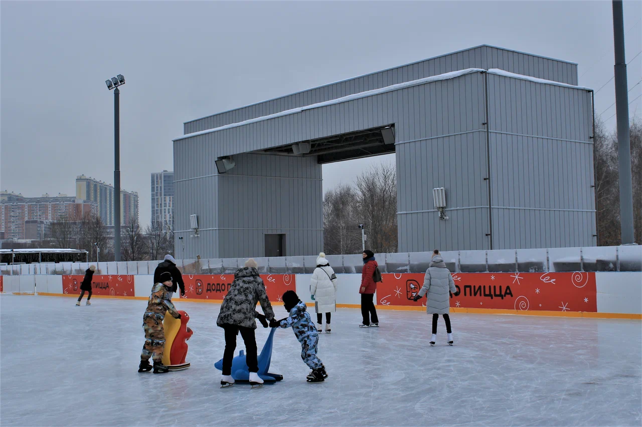 Каток в ландшафтном парке Митино - 2