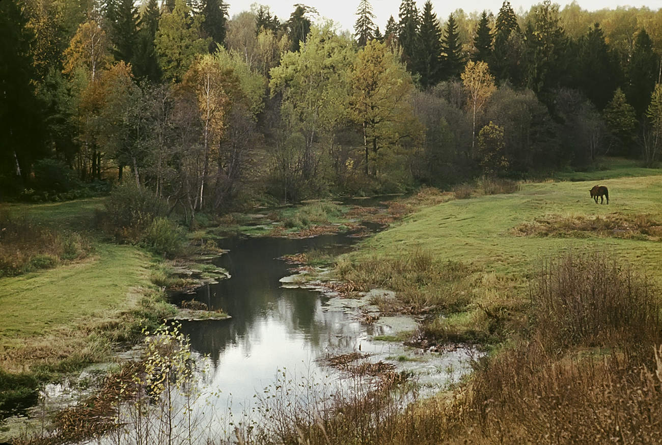 Река Воря - 2