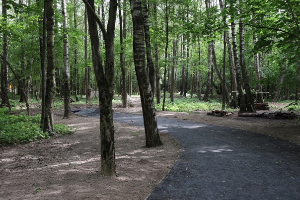 Химкинский лесопарк - 2