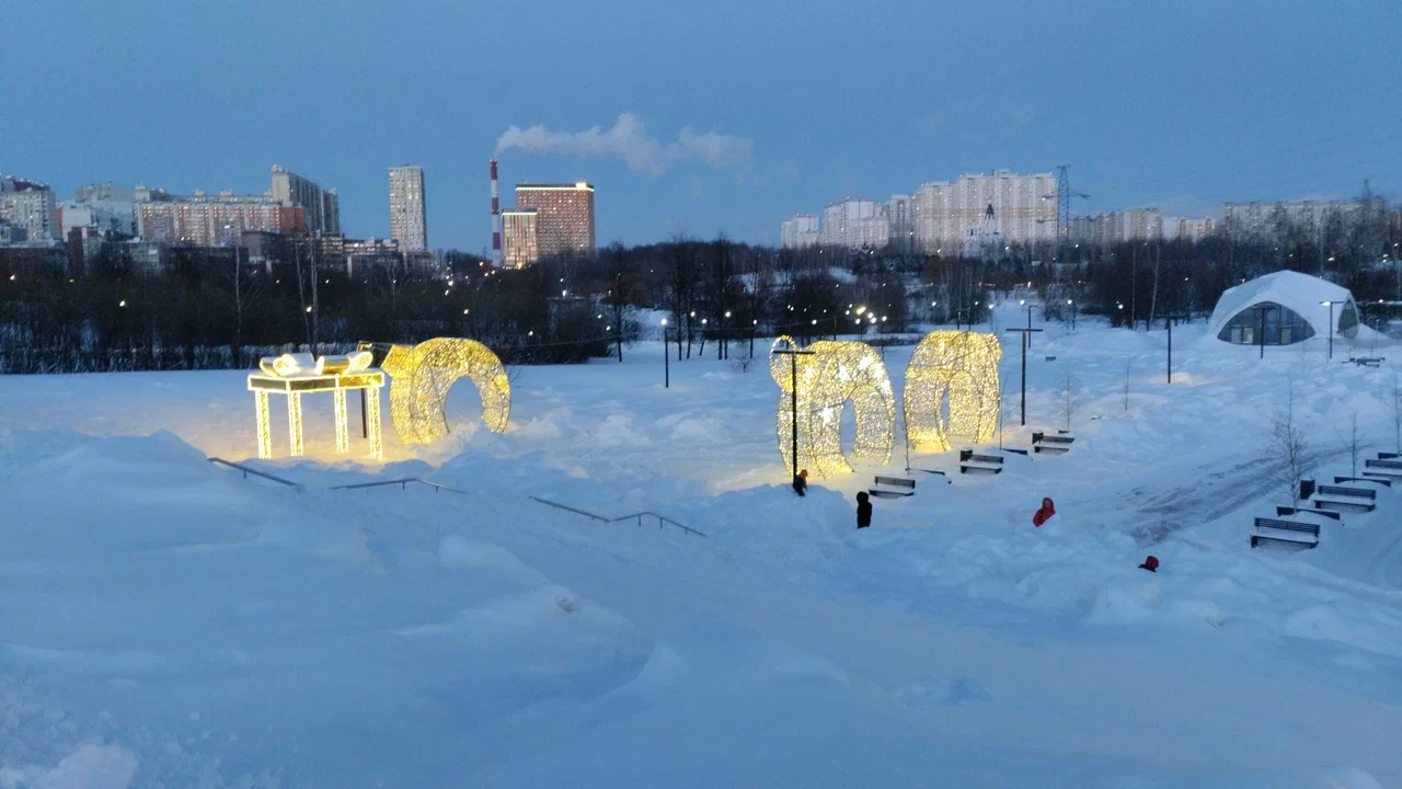 Каток в ландшафтном парке Митино - 6