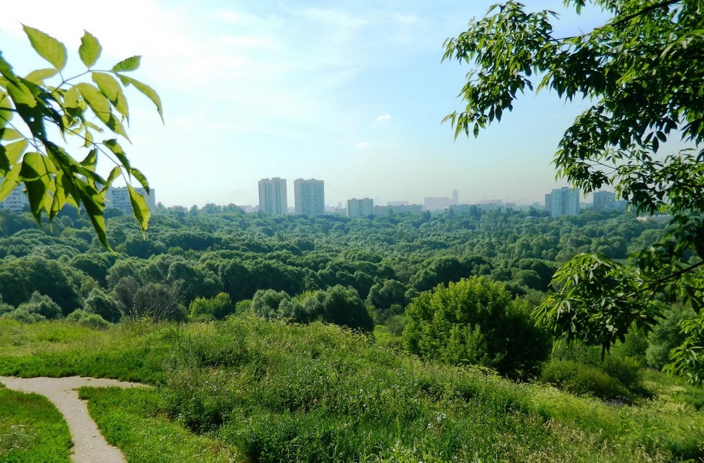 Природно-исторический парк «Тушинский» - 4