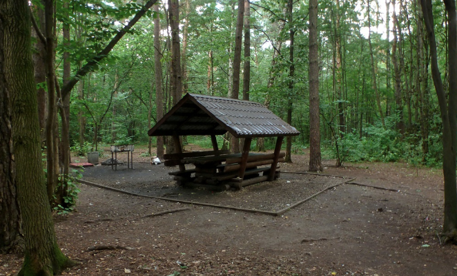 Химкинский лесопарк - 1
