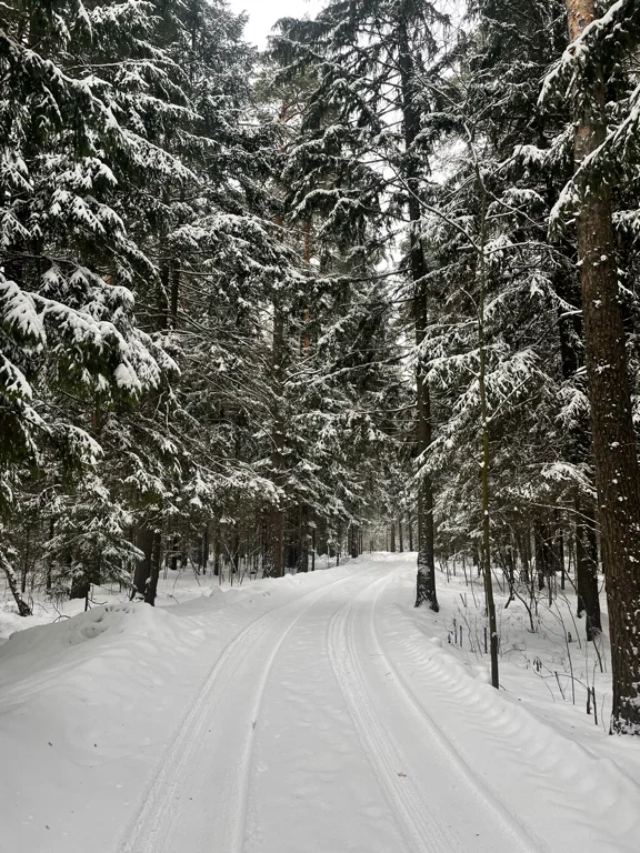 Глэмпинг на Озёрах - 3