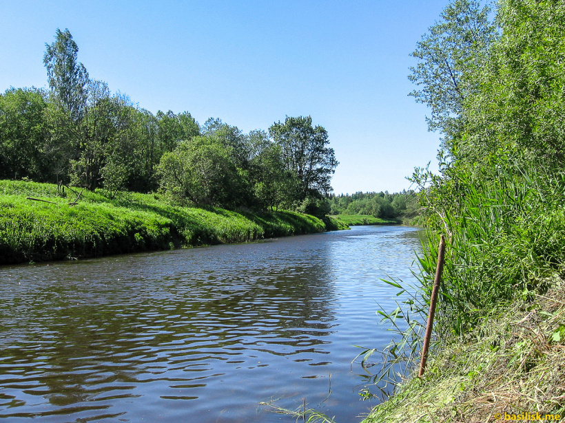 Река Дубна - 1