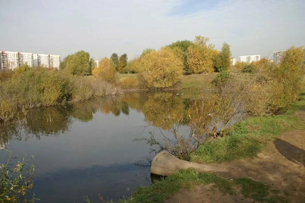 Пойма реки Чермянки - 3