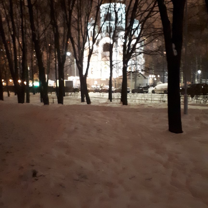 Храм Преподобного Сергия Радонежского в Солнцево - 3