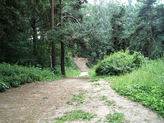 Химкинский лесопарк - 3