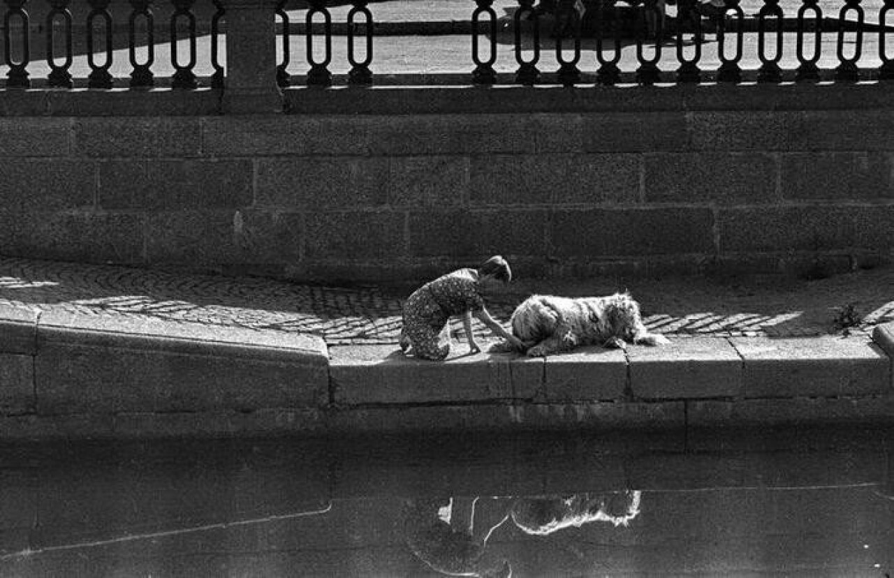 Фотосоюз - 2