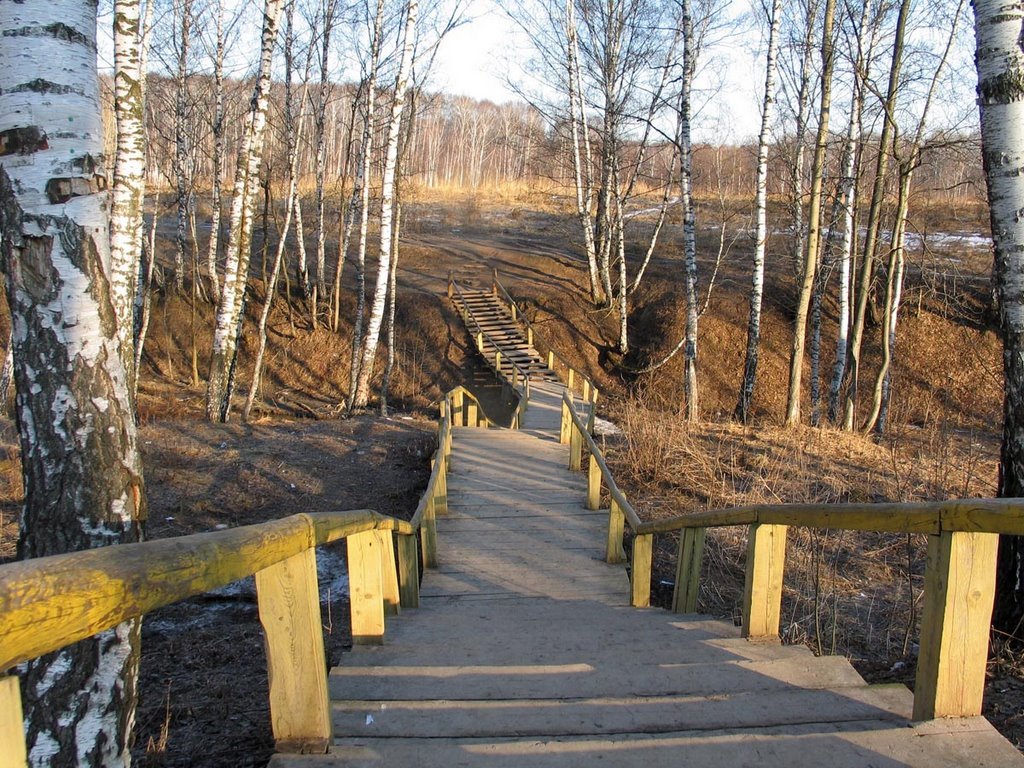 Парк «Битцевский лес» - 1