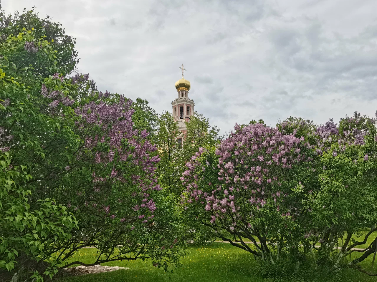 Храм Покрова Пресвятой Богородицы в Филях - 5