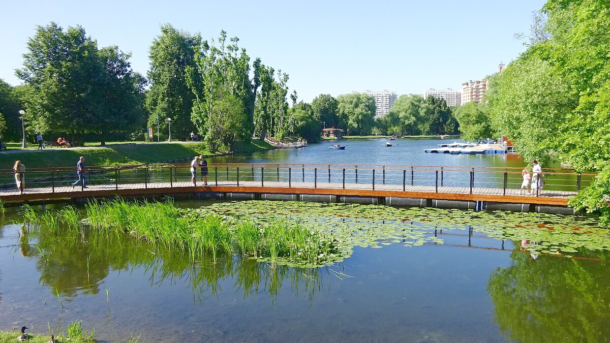 Воронцовские пруды - 3