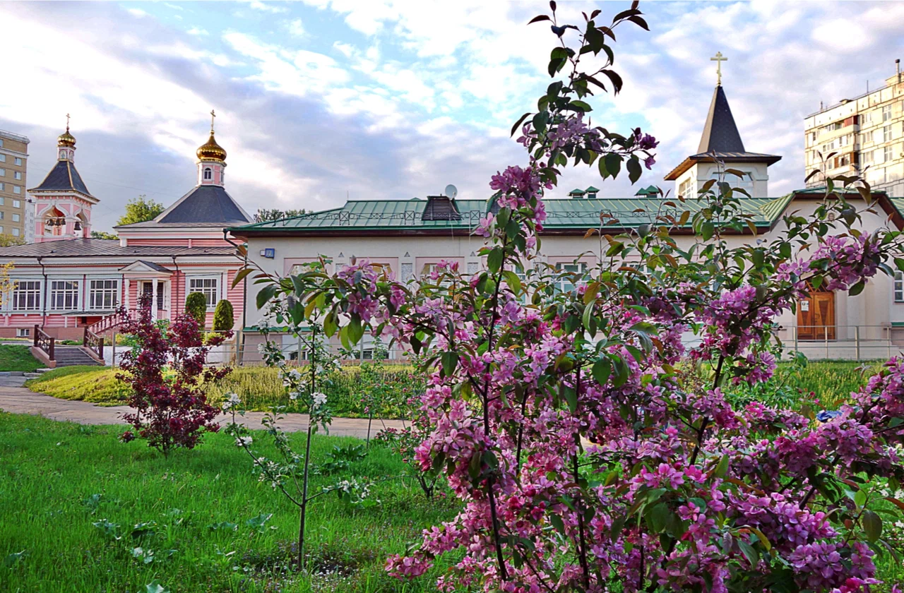 Храм Преображения Господня в Богородском - 3