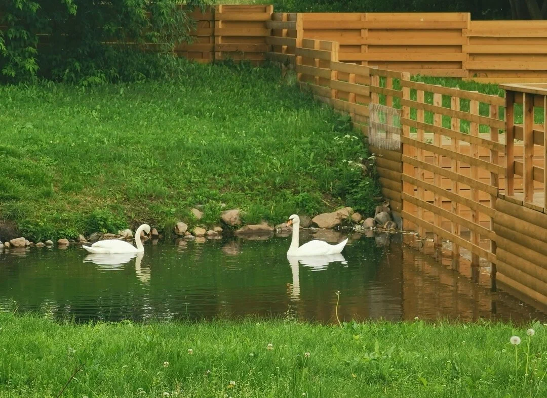 Водяная Мельница На Реке Жуже - 4