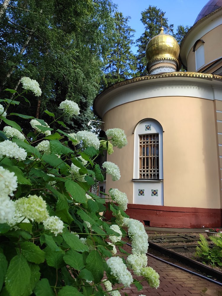 Храм Благовещения Пресвятой Богородицы в Федосьино - 2