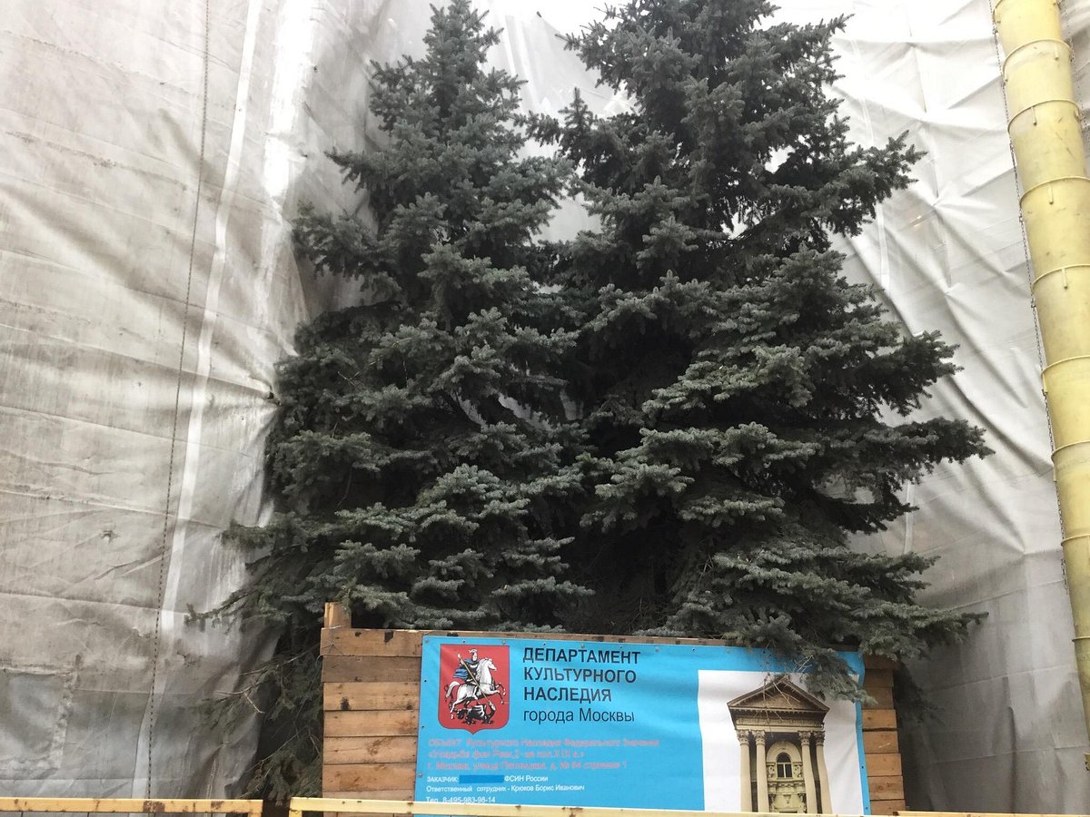Особняк Рекк - 4