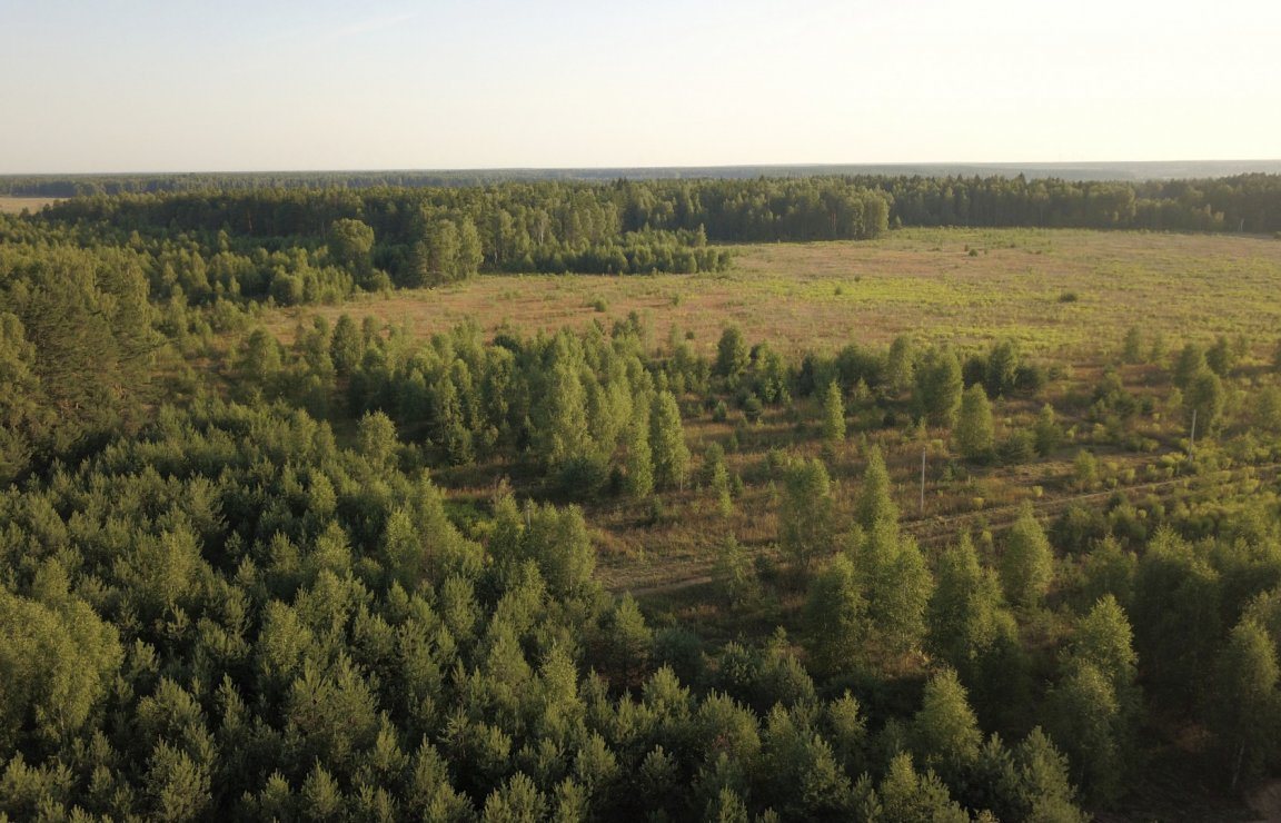 Глэмпинг «Сказка в лесу» - 6