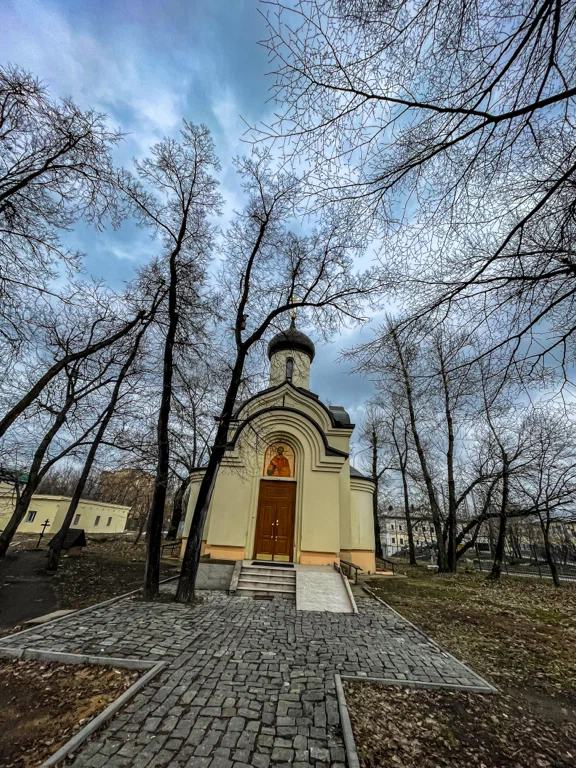 Храм Димитрия Донского близ Спасо-Андроникова монастыря - 4