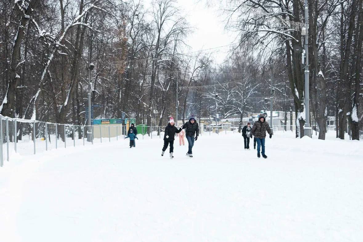 Каток в парке «Сокольники» - 3