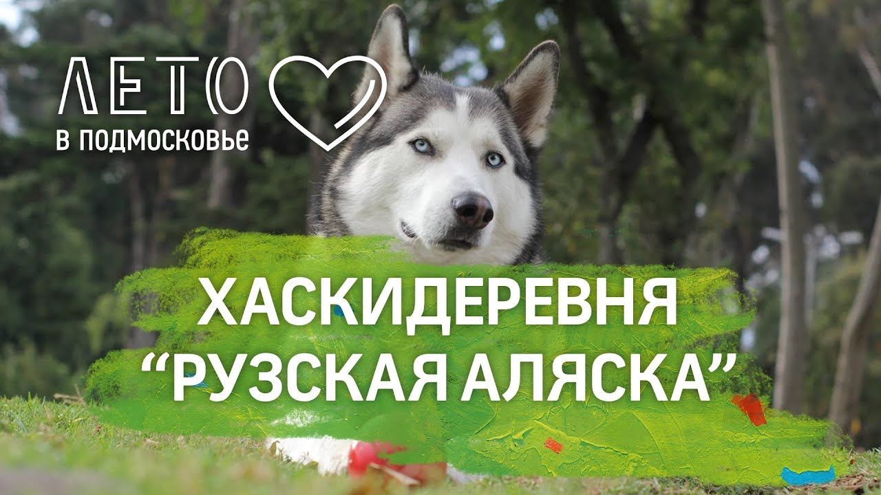 Хаски-деревня «Рузская Аляска» - 6