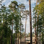 Еврейский культурный центр Жуковка - 7