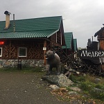 База отдыха «Медвежий угол» - 7