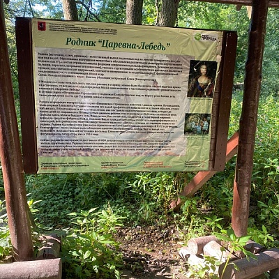 Родник «Царевна Лебедь»