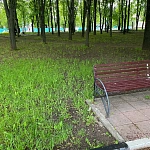 Сквер имени Ф. Г. Ерастова - 2