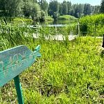 Рыбацкая деревня «Усть Вазуза» - 7