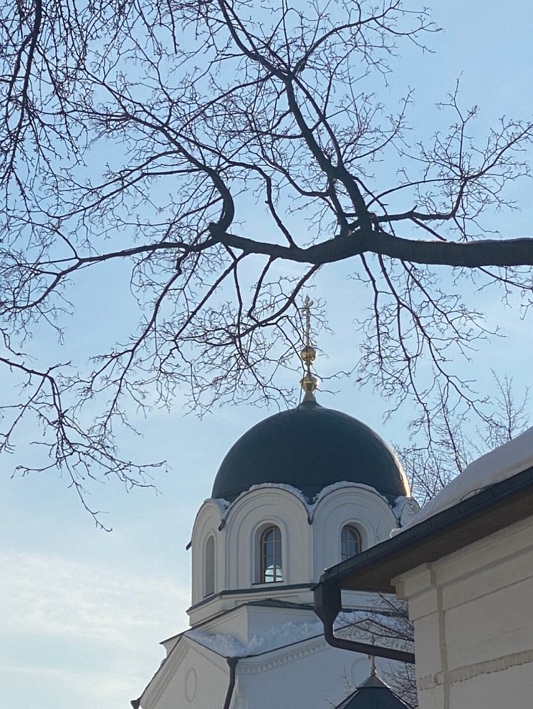 Храм Духа Святого Сошествия в Зачатьевском монастыре - 3