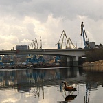 Шелепихинский мост - 3