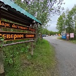 Парк активного отдыха «Северное сияние» - 3