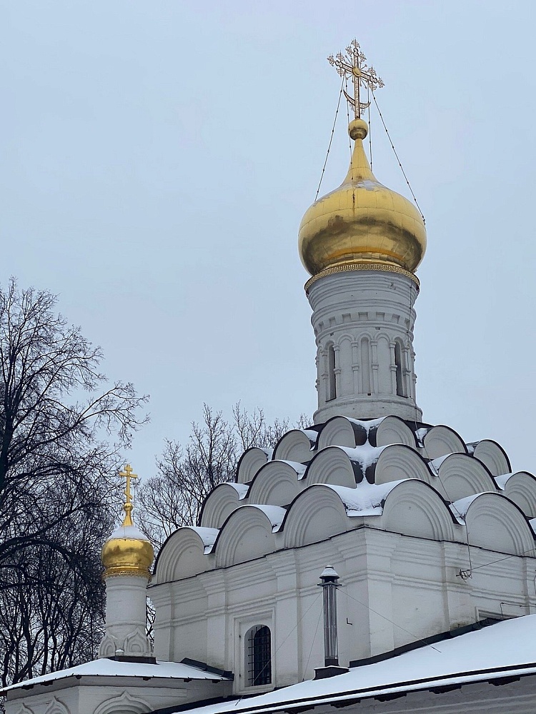 Храм Донской иконы Божией Матери - 2
