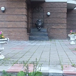 Памятник коту Василию - 3