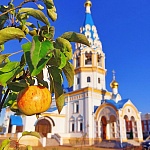 Храм Иконы Божией Матери Неувядаемый Цвет в Рублеве - 7