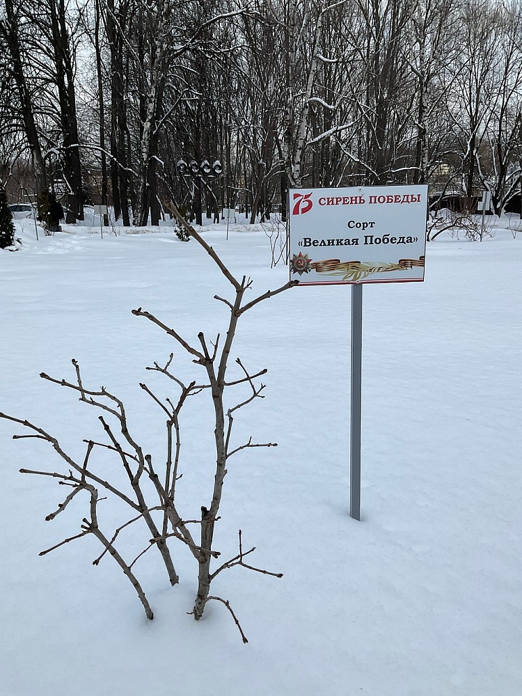 Обелиск в Память о Павших Студентах и Преподавателях МГУ в ВОВ - 3
