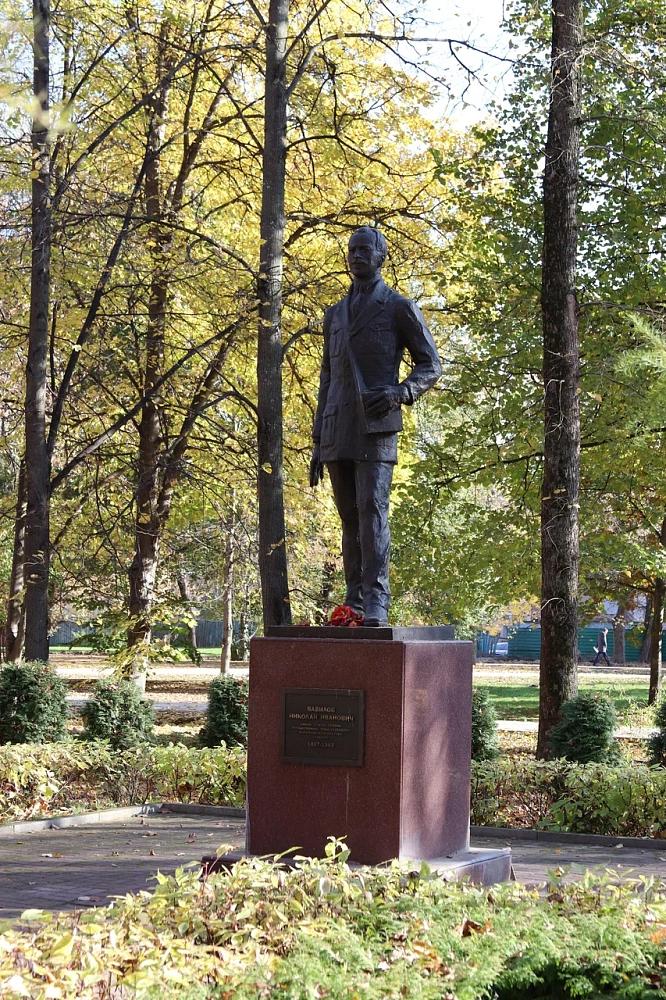 Памятник Н. И. Вавилову - 3