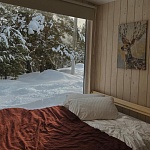 База отдыха Forest Glamp - 2